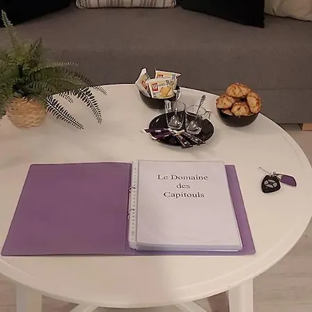 Les Capitouls - Avec Piscine, Parking&jardin Privé ! Appartement
